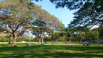 A shot from Kapiolani Park